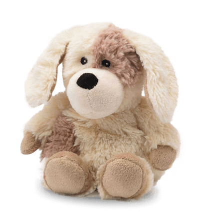 Puppy junior