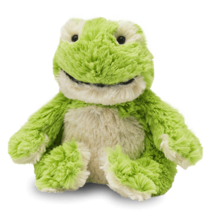 Sapo Junior